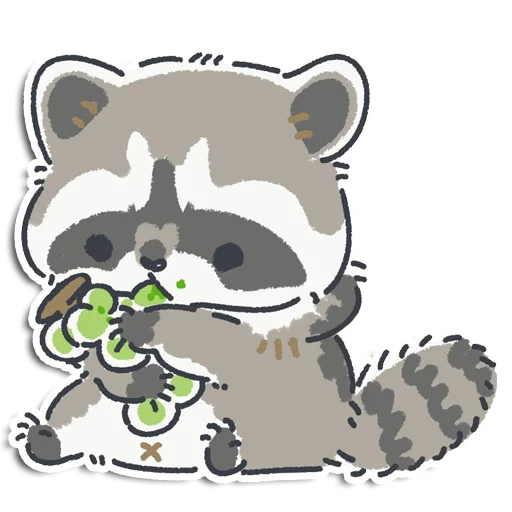 raccoon_yen 30