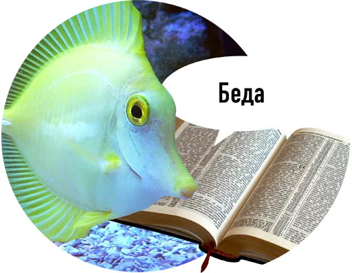 readfish 6