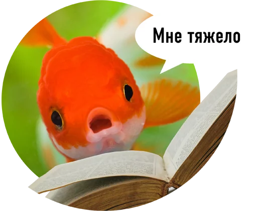 readfish 8