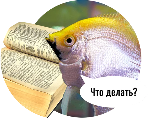 readfish 10