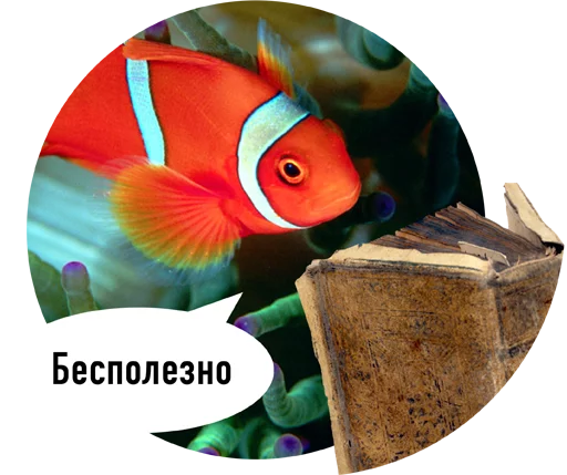 readfish 11