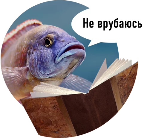 readfish 12