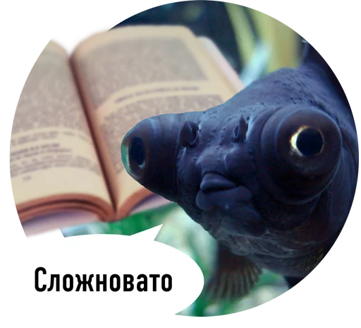 readfish 13