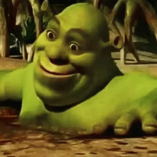 shreklovelife 9