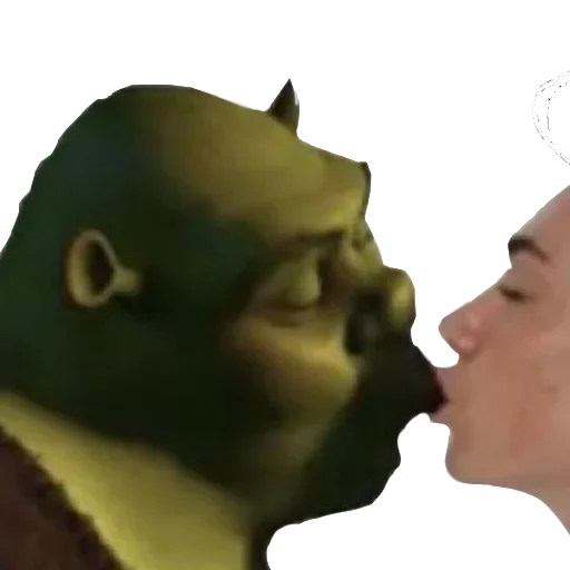 shreklovelife 13