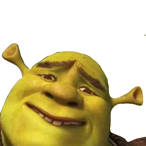 shreklovelife 14