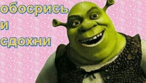 shreklovelife 22