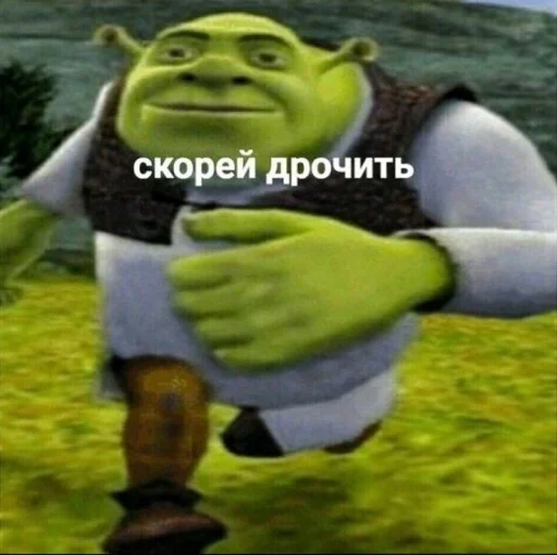 shreklovelife 27
