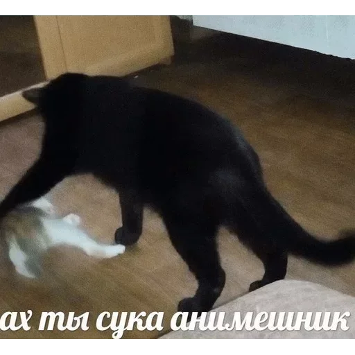 Ahtioneme4nik 1