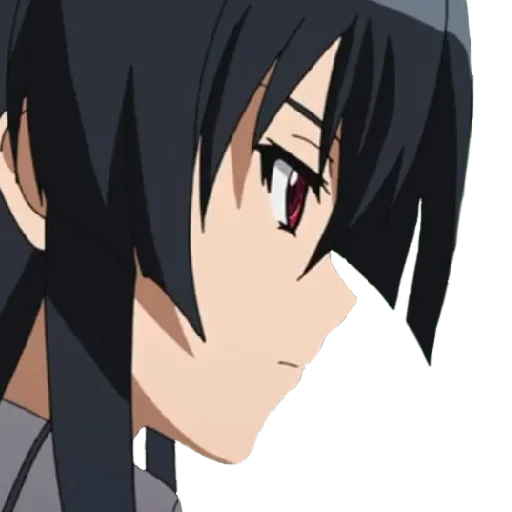 Akamechka 3