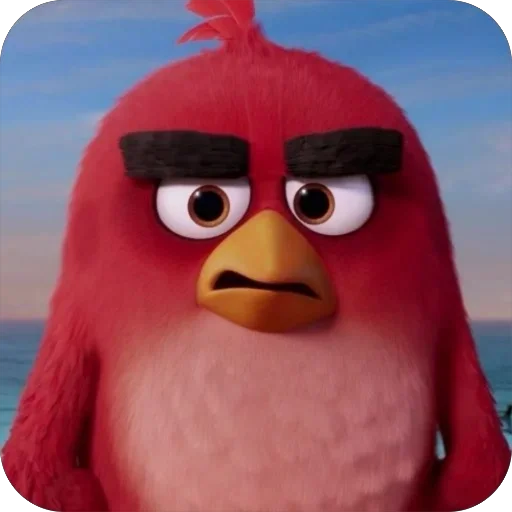 AngryBirdsEarth928B 1