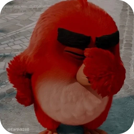 AngryBirdsEarth928B 3