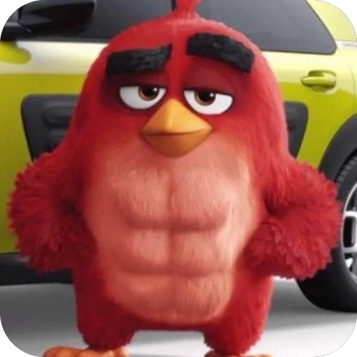 AngryBirdsEarth928B 5