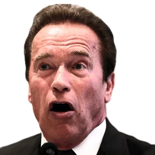 ArnoldSchwarzenegger7 4