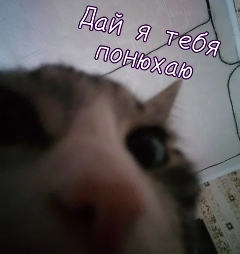 Blinzver 2