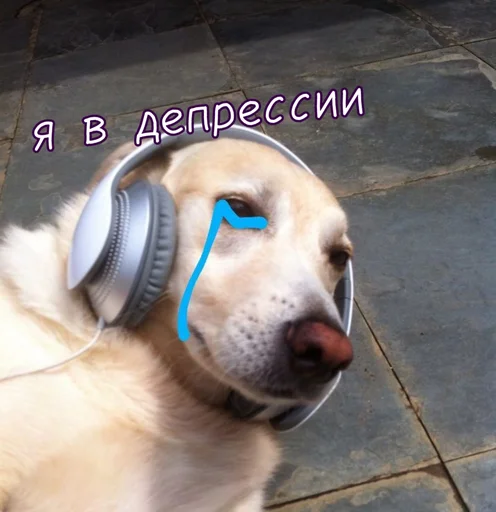 Blinzver 3
