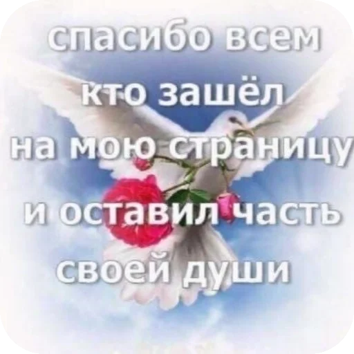 CHsv65 1