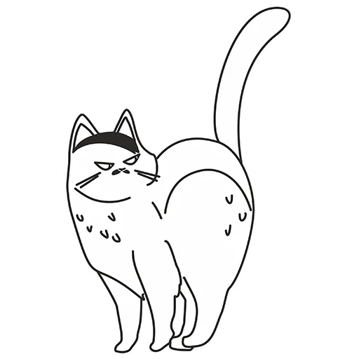 Catismus 3