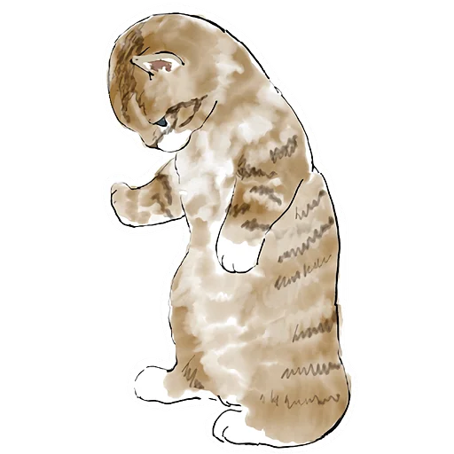 Cats_chat2_Nyasticks 3