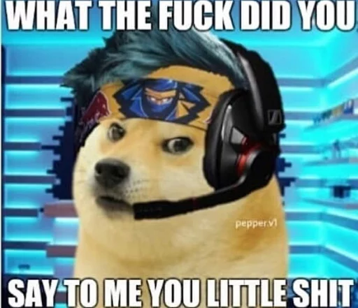 DogeEdits3 1