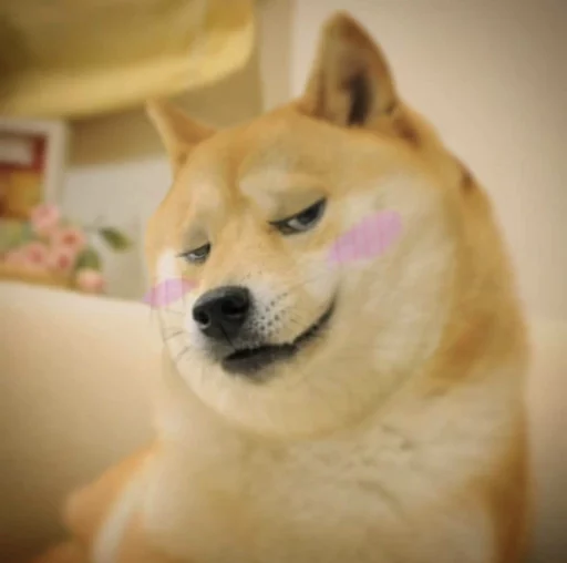 DogeEdits3 2