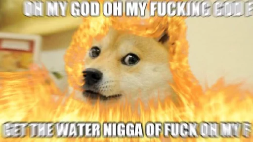 DogeEdits3 5