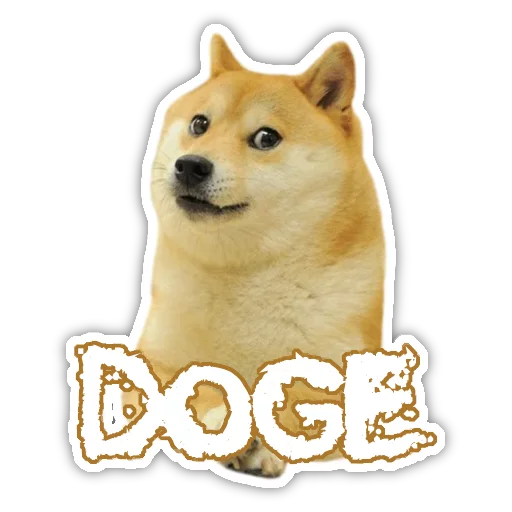 DogeTheDog 1