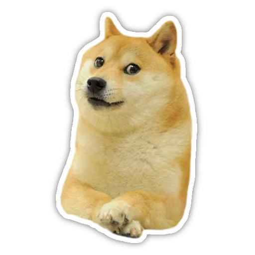 DogeTheDog 2