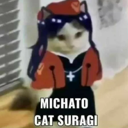 Evangelion_meme 23