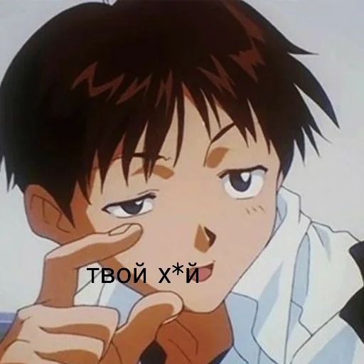 Evangelion_meme 28
