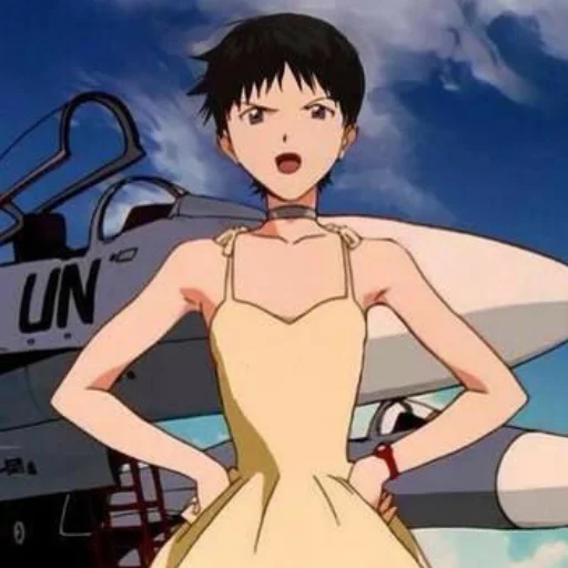 Evangelion_meme 34