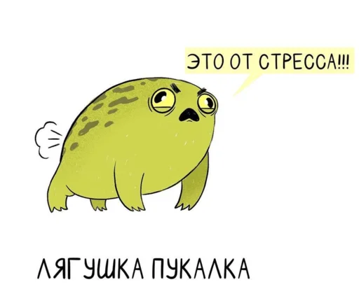 Frogshonoook 6