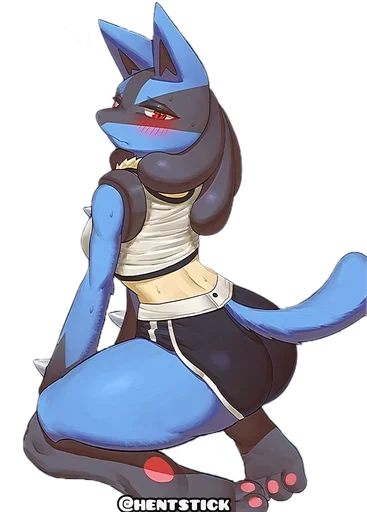 Furryhe 4