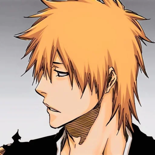 Ichigo_the_best 1