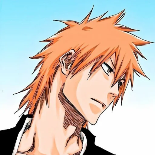 Ichigo_the_best 3