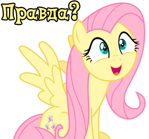 ImFluttershy 4