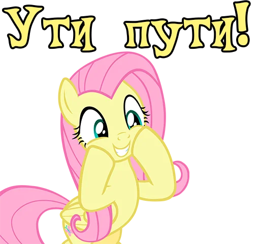 ImFluttershy 6