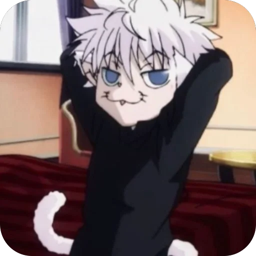 Killua_Zoldyck7 6