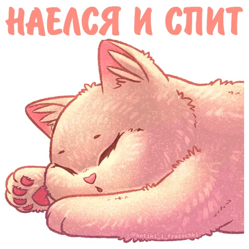 Kotiki_i_frazochki_4 12