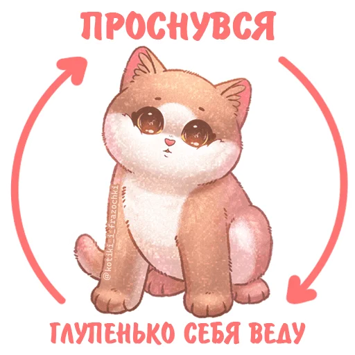 Kotiki_i_frazochki_4 13