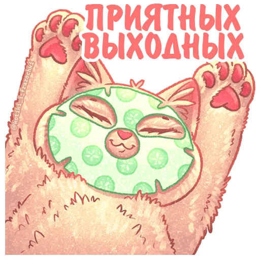 Kotiki_i_frazochki_4 17