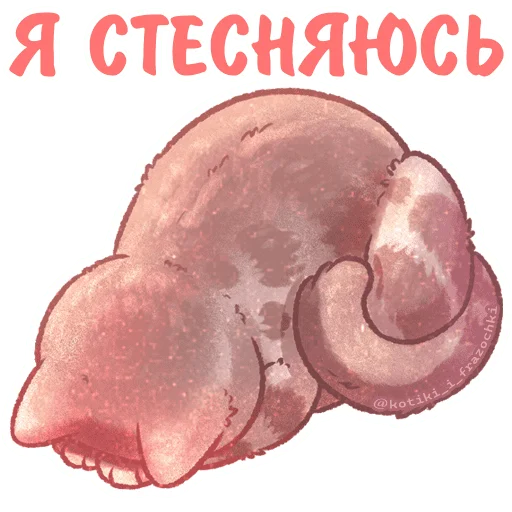 Kotiki_i_frazochki_4 26