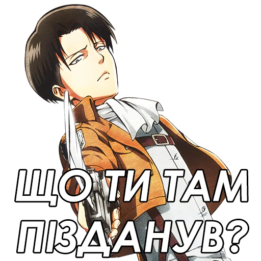 Ligaanimekontenty 6