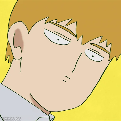 MP100Reigen 1