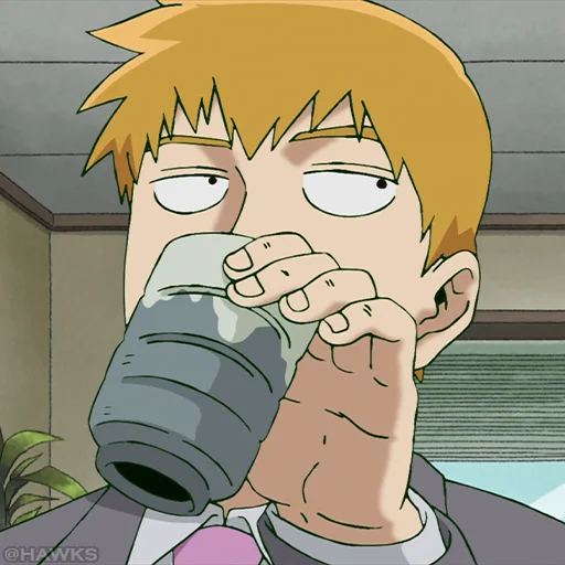 MP100Reigen 2