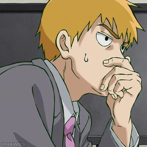 MP100Reigen 3