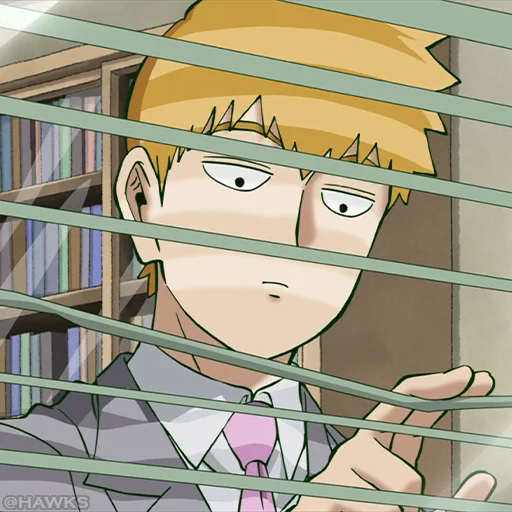 MP100Reigen 5