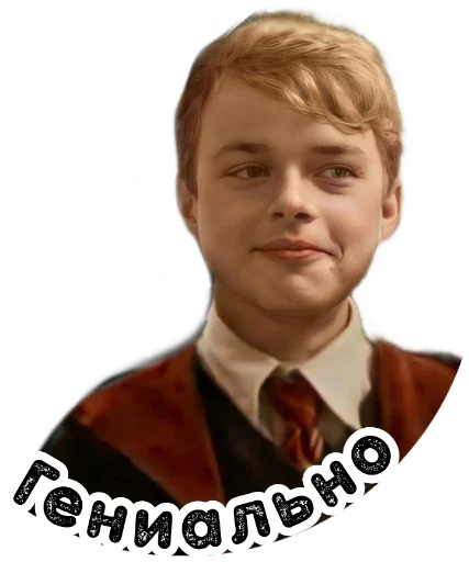 Maraudersstickersmem 2
