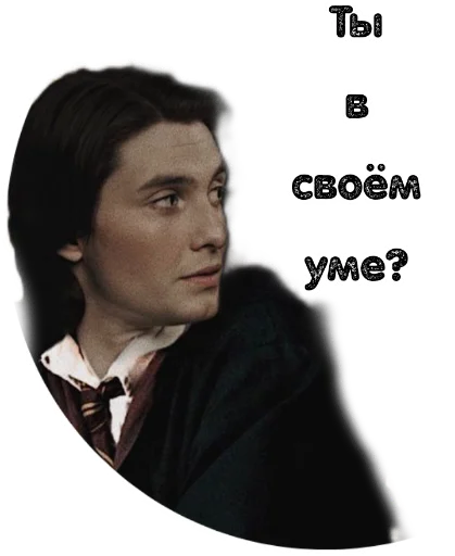 Maraudersstickersmem 6