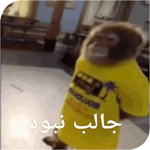 Monkey_owo 2